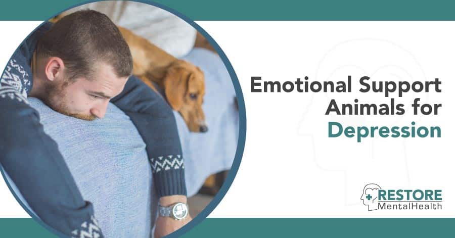 Emotional Support Animals for depression